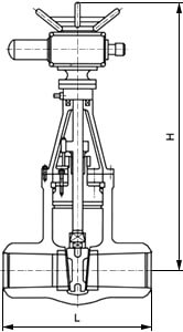 電動(dòng)電站閘閥結(jié)構(gòu)示意圖