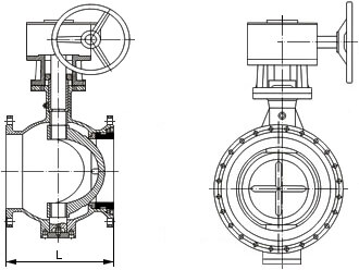 Inconel600偏心半球閥結(jié)構(gòu)示意圖